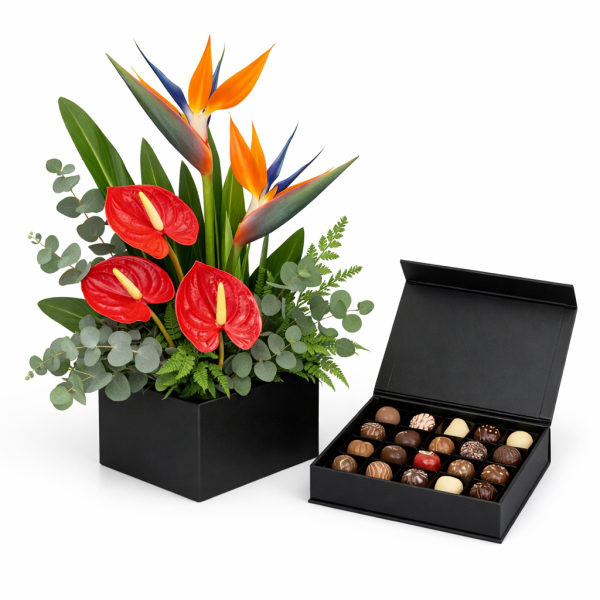 Anturios y strelitzia