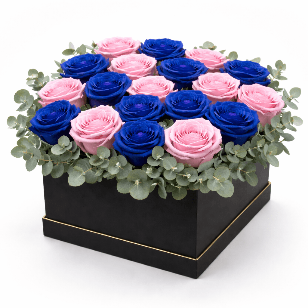 caja_azul_rosado (1)