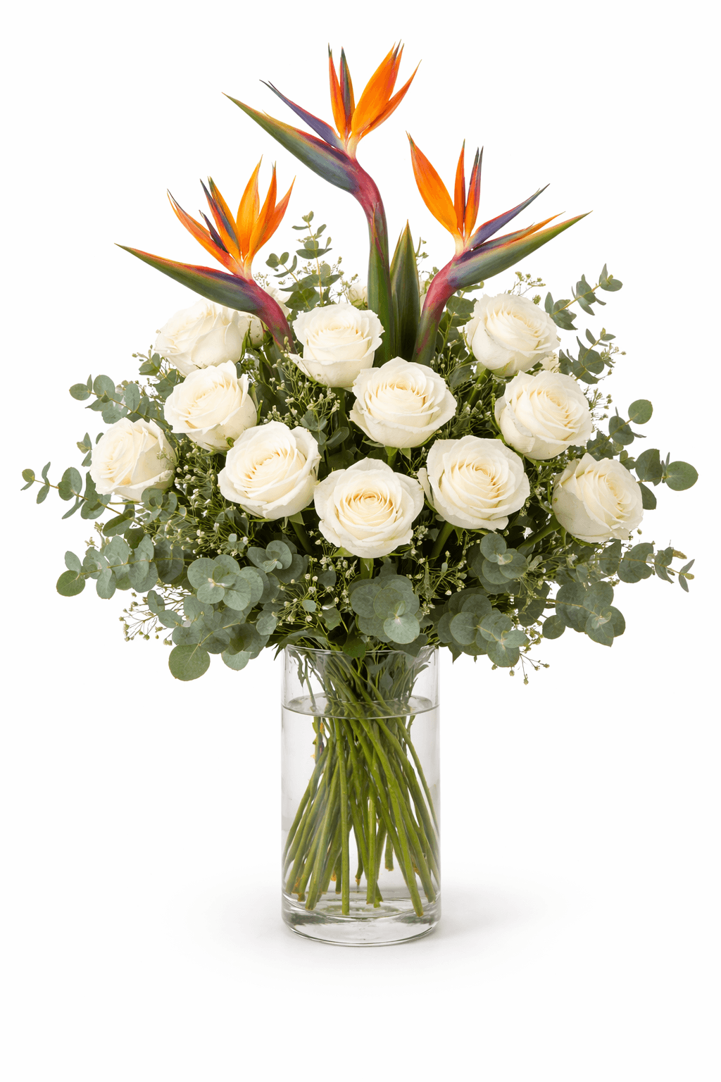 Elegant bloom with bird of paradise (2)