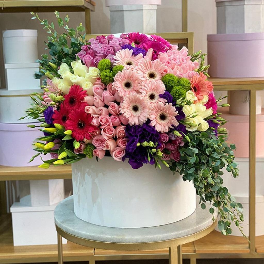 IMG-20240115-WA0002(1)